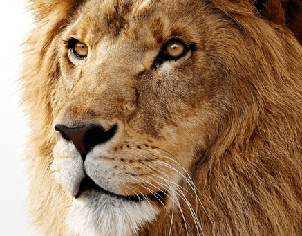 Nächstes Mac OS wird Mac OS X Lion heißen